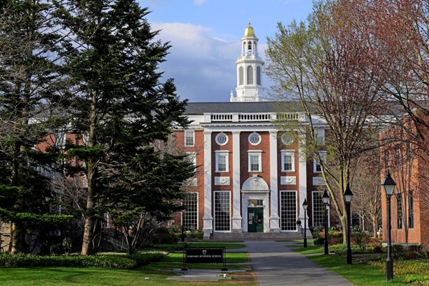 Harvard Business School überlässt jetzt KI-Avataren den Unterricht